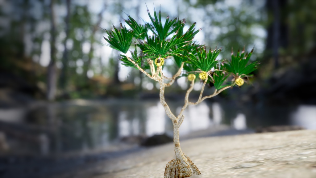 南国の宝石、アダン