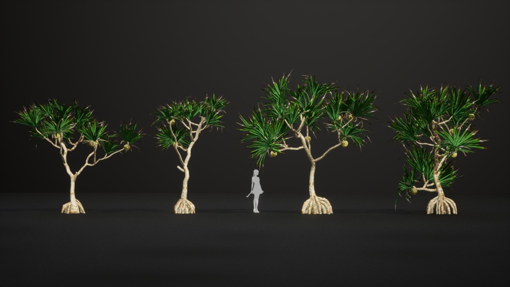 南国の宝石、アダン