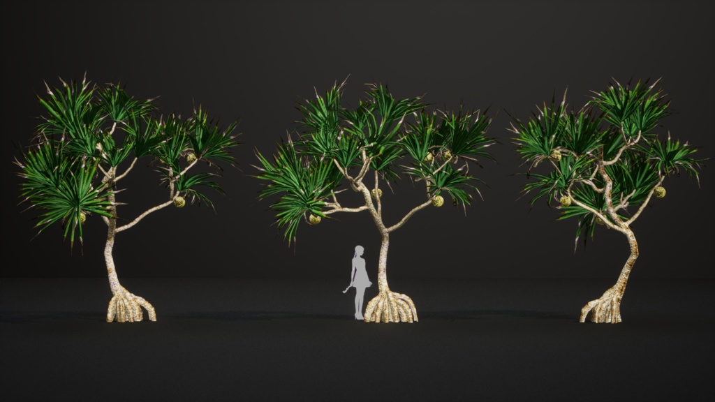 南国の宝石、アダン