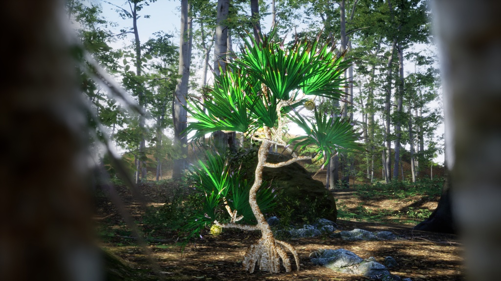 南国の宝石、アダン