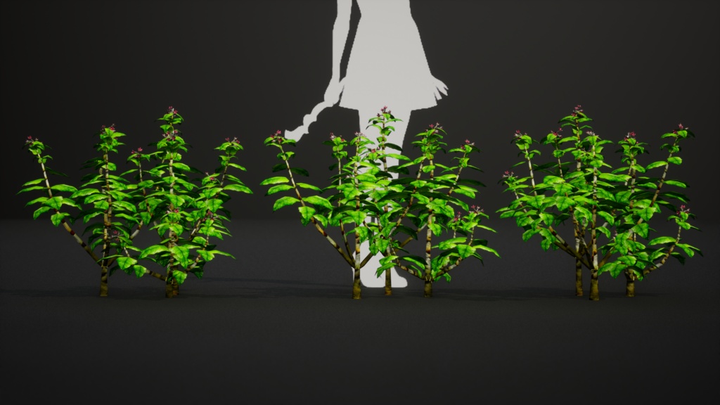 幻の宝石、セントヘレナオリーブ