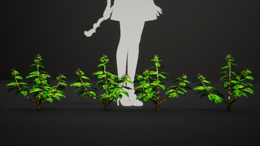 幻の宝石、セントヘレナオリーブ