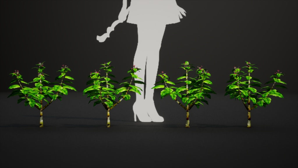 幻の宝石、セントヘレナオリーブ