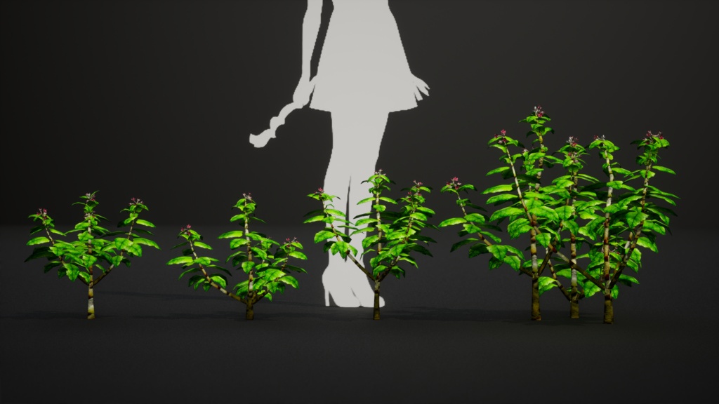 幻の宝石、セントヘレナオリーブ