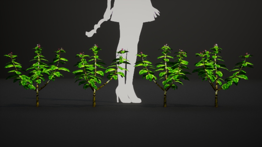 幻の宝石、セントヘレナオリーブ