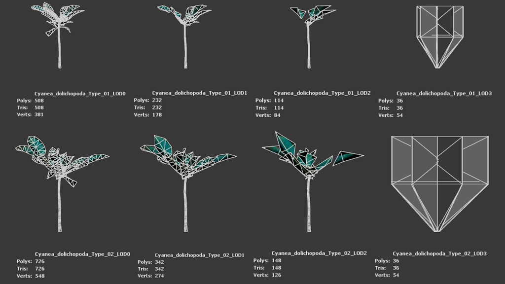 幻のハワイアンベルフラワー、シアネア・ドリコポダ