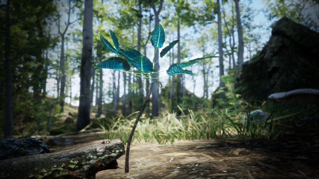 幻のハワイアンベルフラワー、シアネア・ドリコポダ