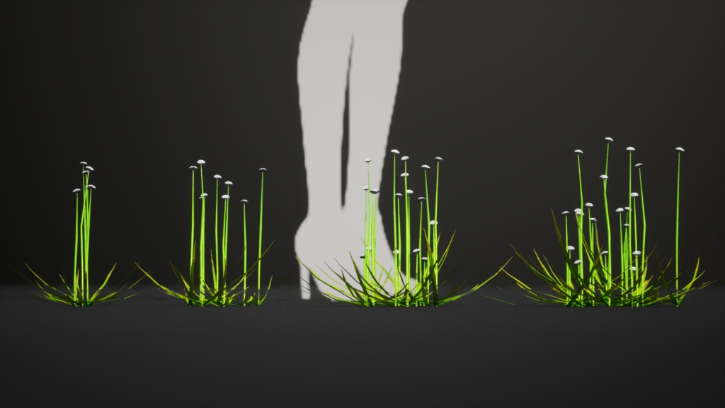 幻の水辺の宝石、エリオカウロン・イヌンダトゥム