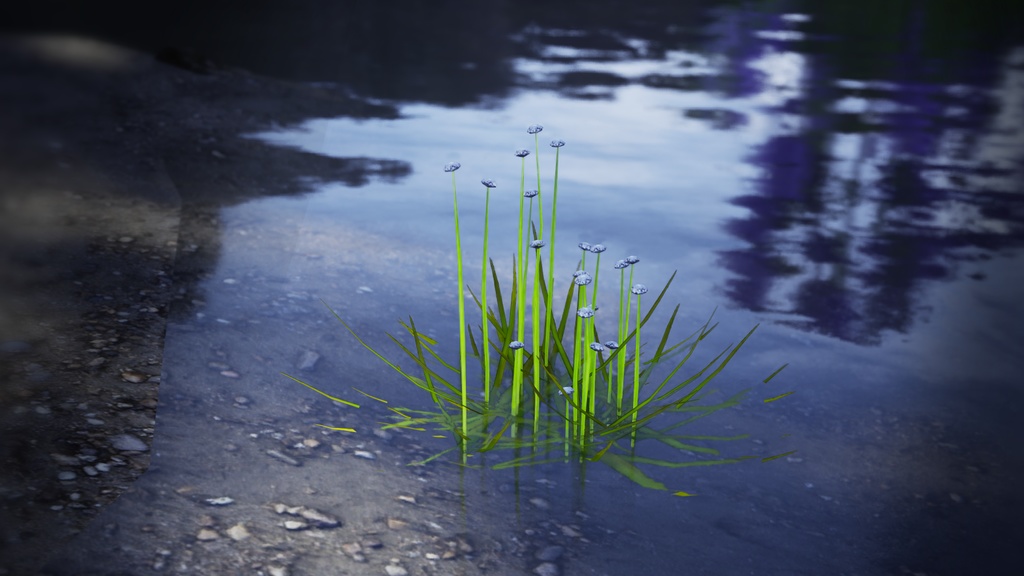 幻の水辺の宝石、エリオカウロン・イヌンダトゥム