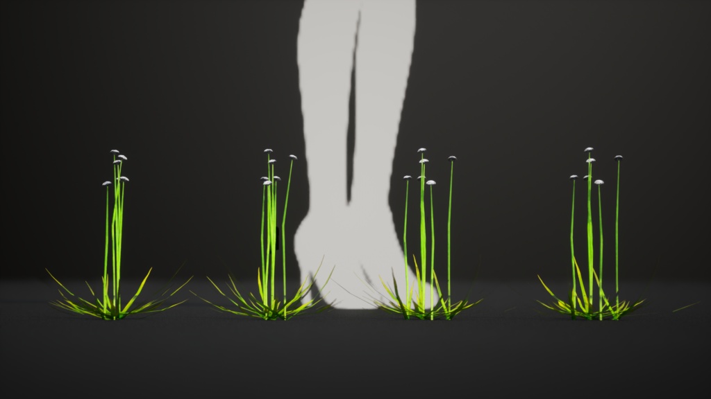 幻の水辺の宝石、エリオカウロン・イヌンダトゥム