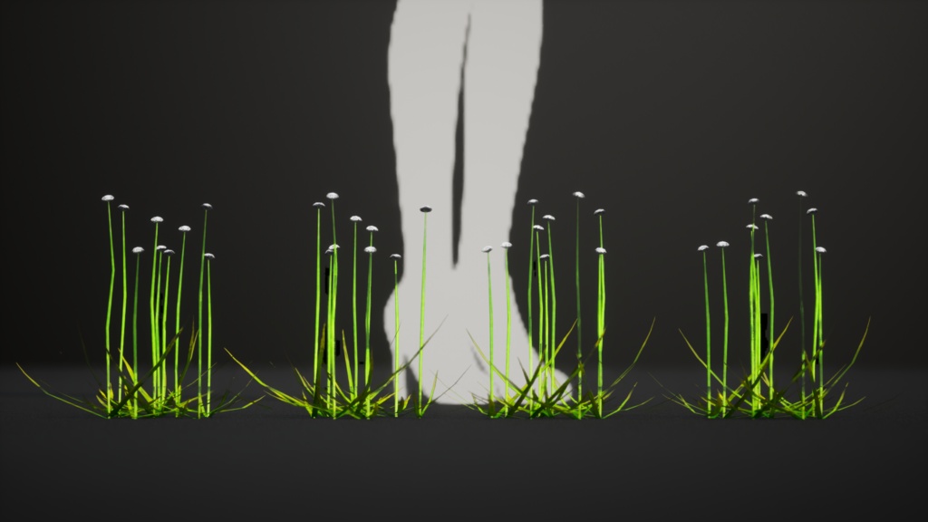 幻の水辺の宝石、エリオカウロン・イヌンダトゥム