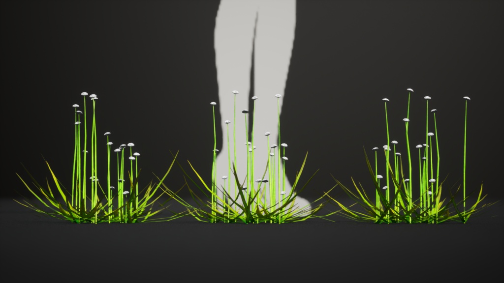 幻の水辺の宝石、エリオカウロン・イヌンダトゥム