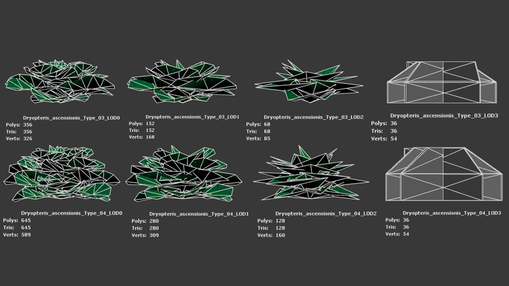 アセンション島の幻のシダ、ドリオプテリス・アセンシオニス