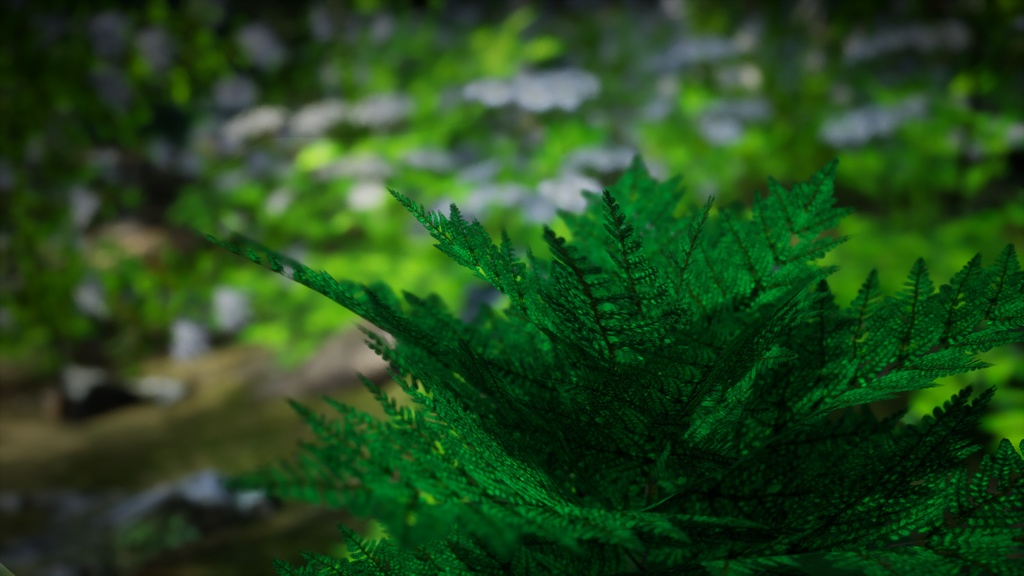 アセンション島の幻のシダ、ドリオプテリス・アセンシオニス