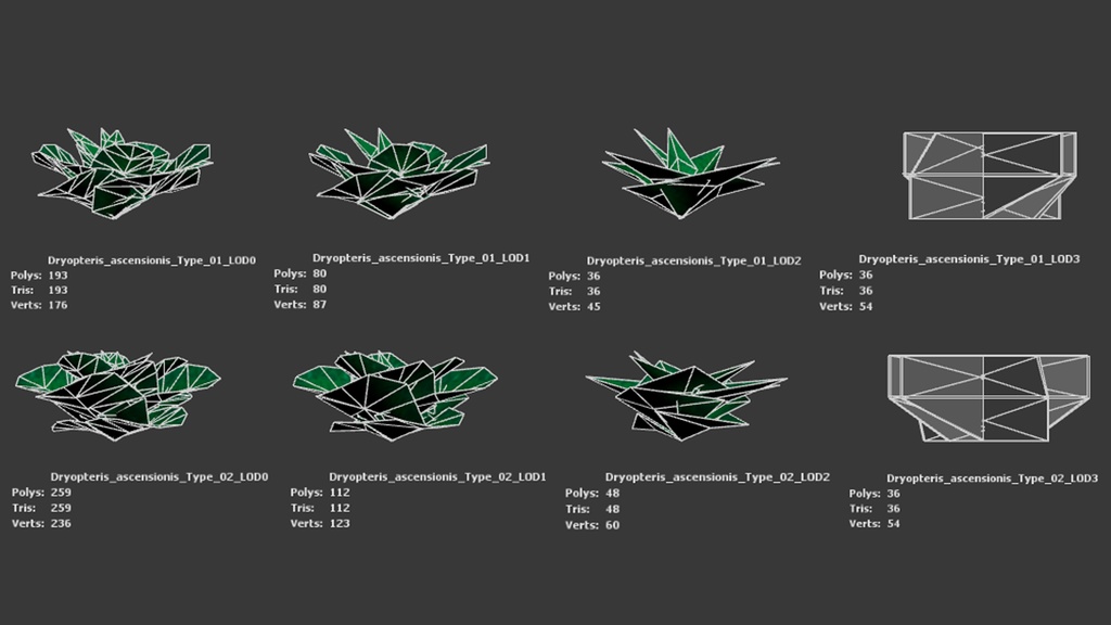 アセンション島の幻のシダ、ドリオプテリス・アセンシオニス