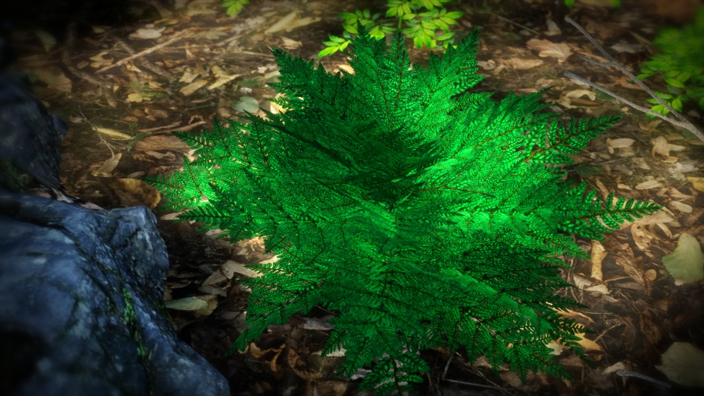 アセンション島の幻のシダ、ドリオプテリス・アセンシオニス