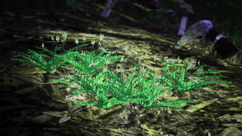 幻のスペインの宝石、アストラガルス・ニティディフロルス