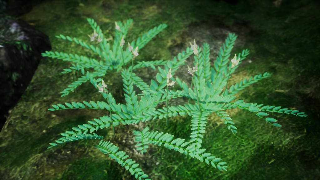 幻のスペインの宝石、アストラガルス・ニティディフロルス