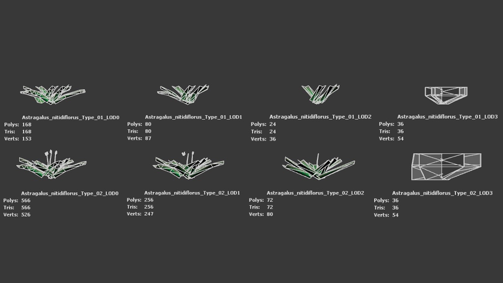 幻のスペインの宝石、アストラガルス・ニティディフロルス