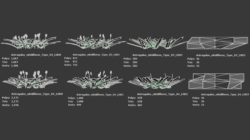 幻のスペインの宝石、アストラガルス・ニティディフロルス