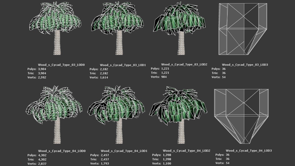 幻の生きた化石、ウッズソテツ