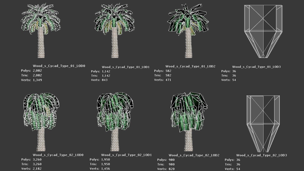 幻の生きた化石、ウッズソテツ