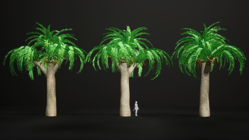 幻の生きた化石、ウッズソテツ