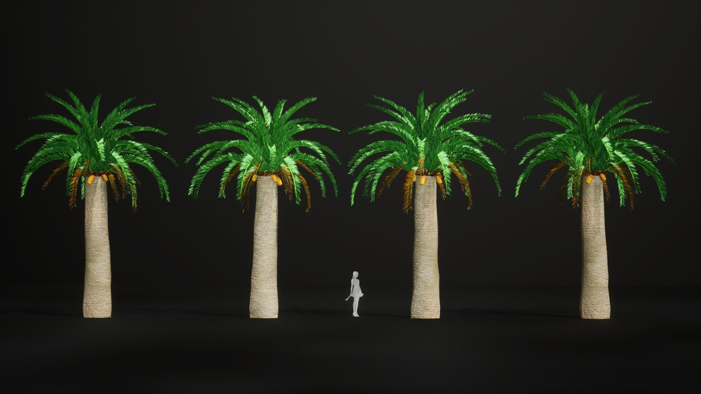 幻の生きた化石、ウッズソテツ