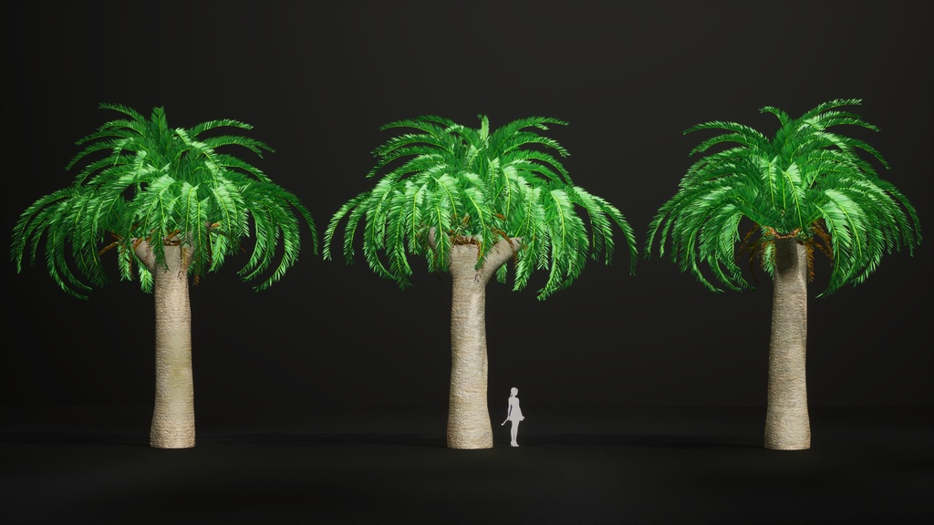 幻の生きた化石、ウッズソテツ