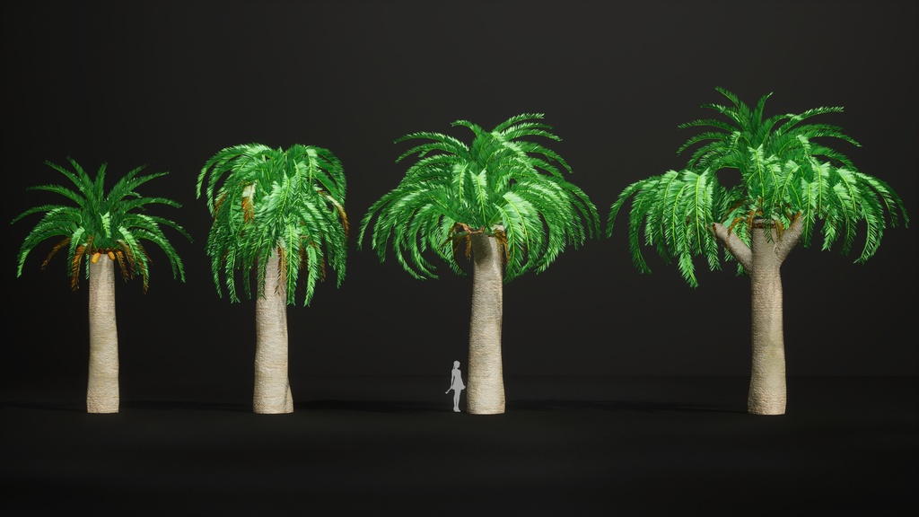 幻の生きた化石、ウッズソテツ