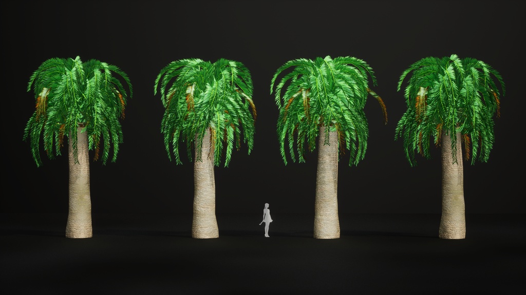 幻の生きた化石、ウッズソテツ