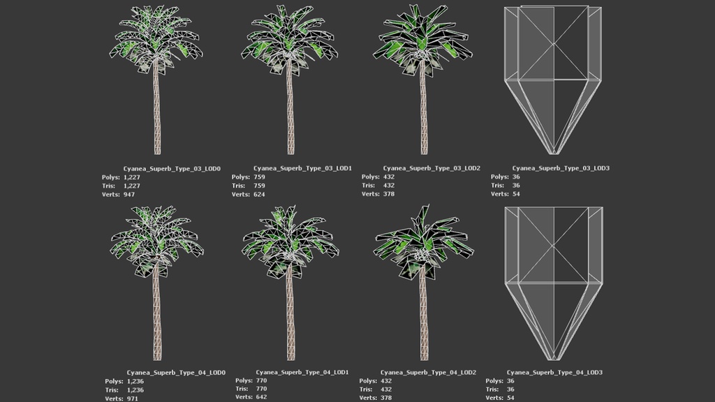 幻のハワイアンロベリア、シアネア・スーパーバ