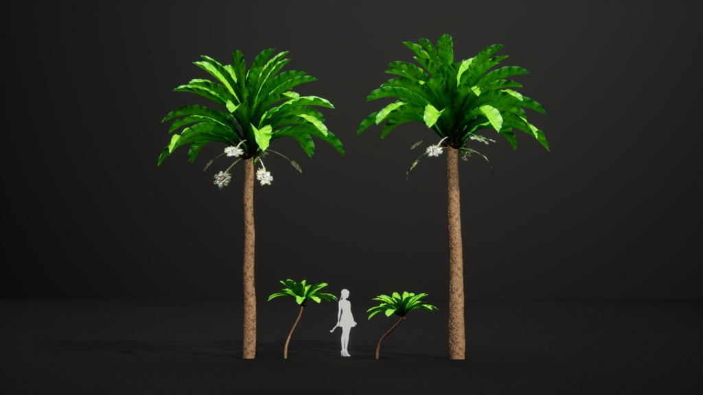 幻のハワイアンロベリア、シアネア・スーパーバ