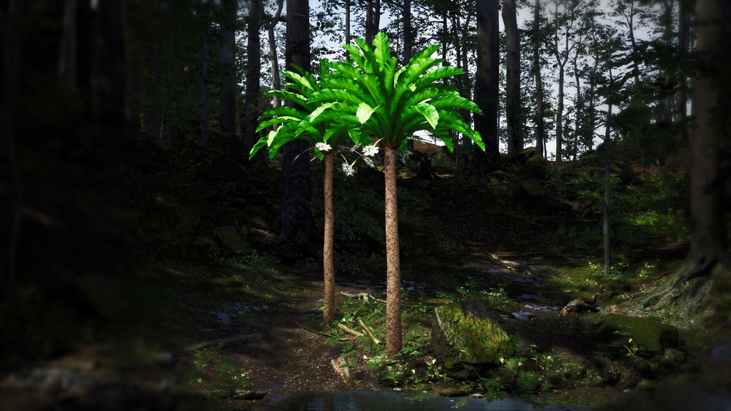 幻のハワイアンロベリア、シアネア・スーパーバ