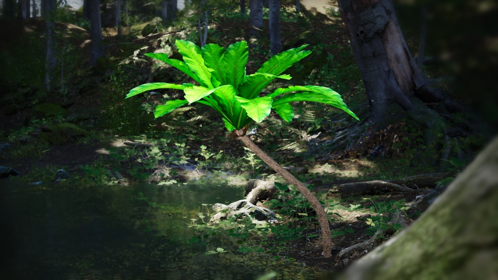 幻のハワイアンロベリア、シアネア・スーパーバ