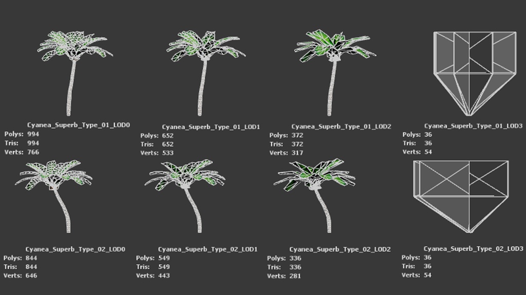 幻のハワイアンロベリア、シアネア・スーパーバ