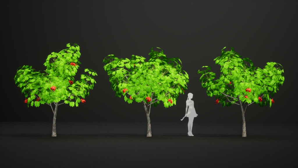 幻のハワイアンコットン、コキア・クケイ