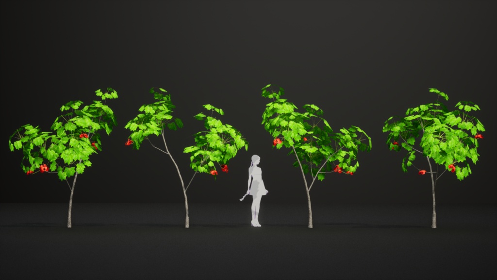 幻のハワイアンコットン、コキア・クケイ