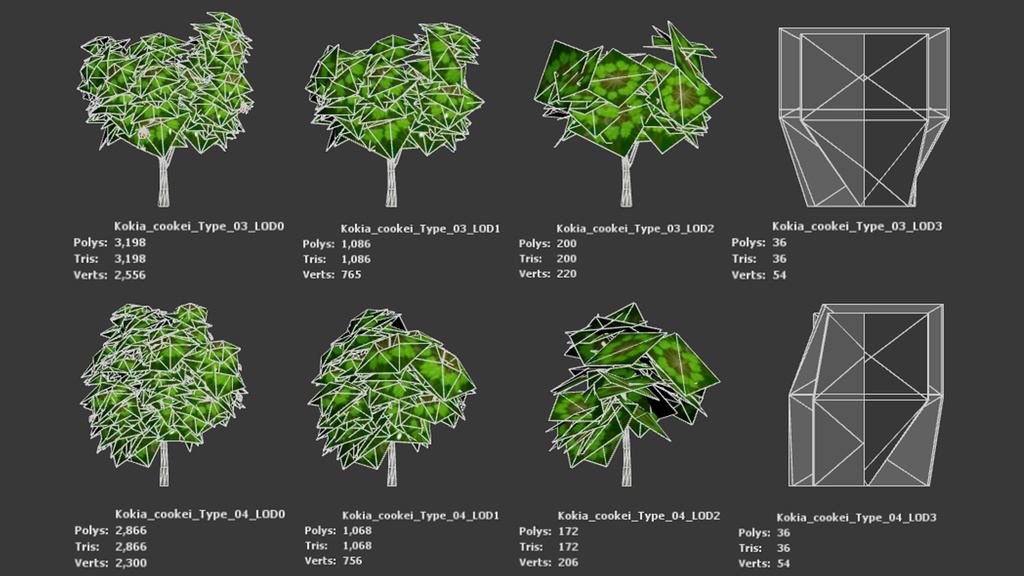 幻のハワイアンコットン、コキア・クケイ