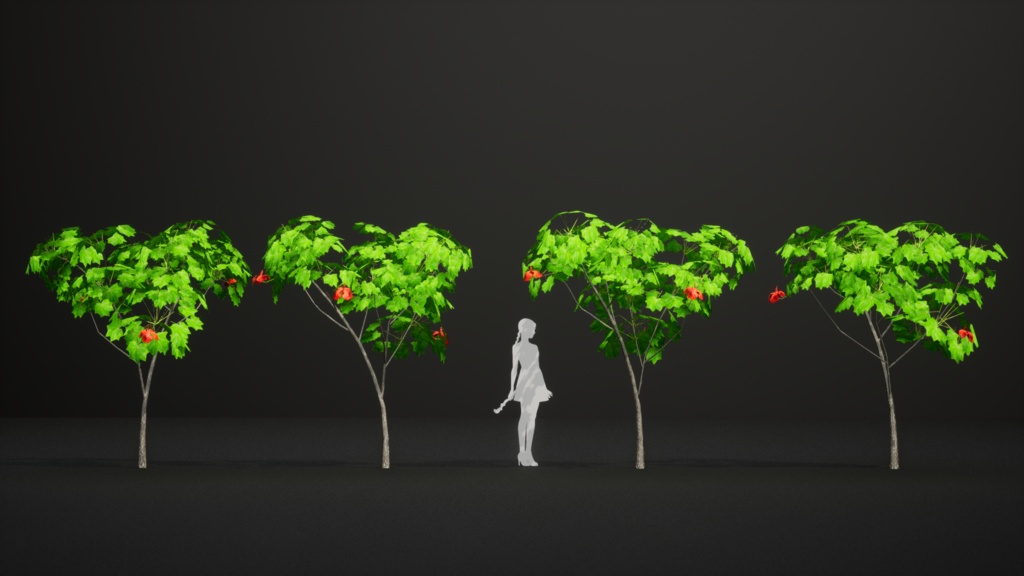 幻のハワイアンコットン、コキア・クケイ