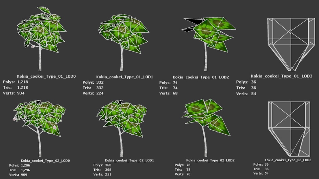 幻のハワイアンコットン、コキア・クケイ