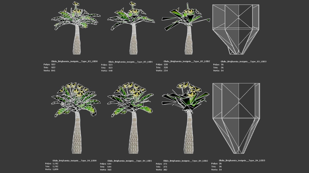 ハワイの幻の宝石、オルル