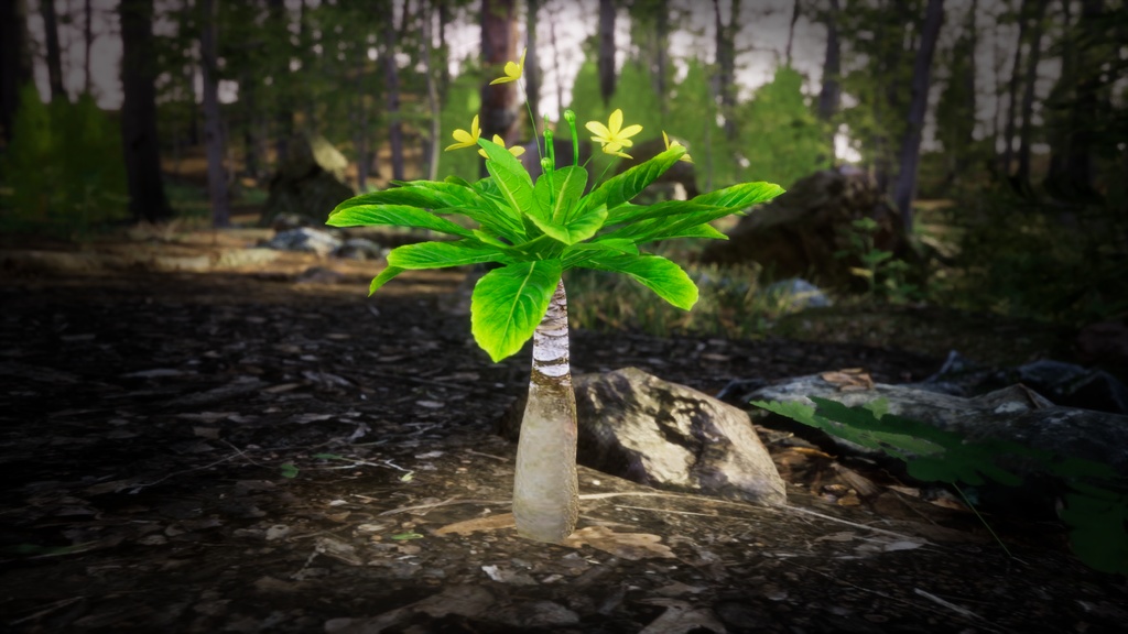 ハワイの幻の宝石、オルル