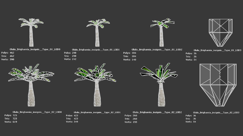 ハワイの幻の宝石、オルル