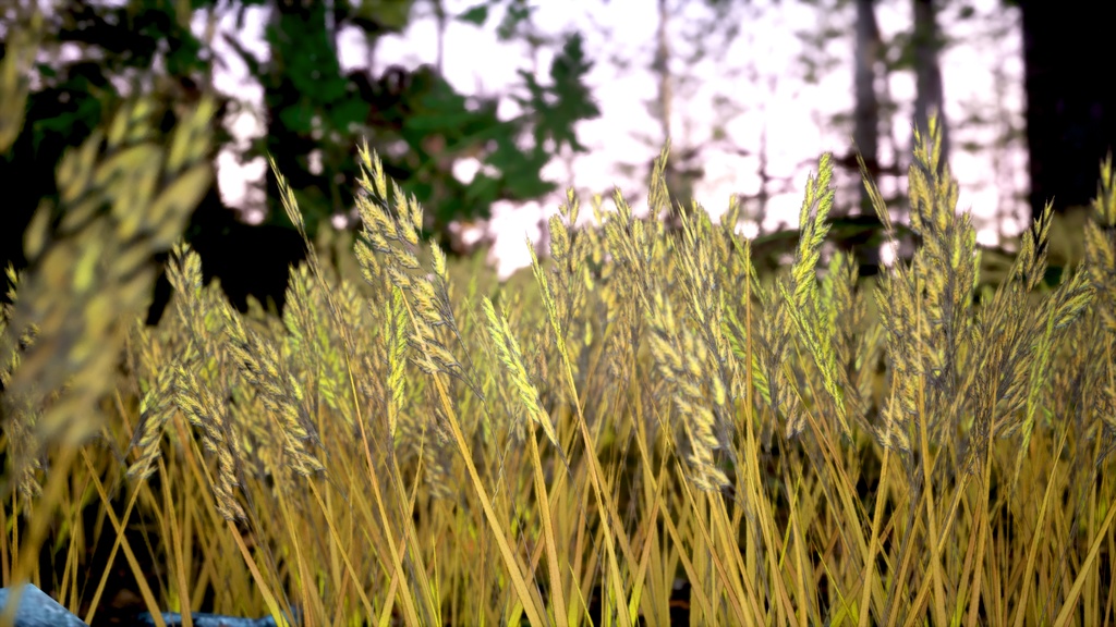 よみがえるベルギーの宝石、ブロムス・ブロモイデウス