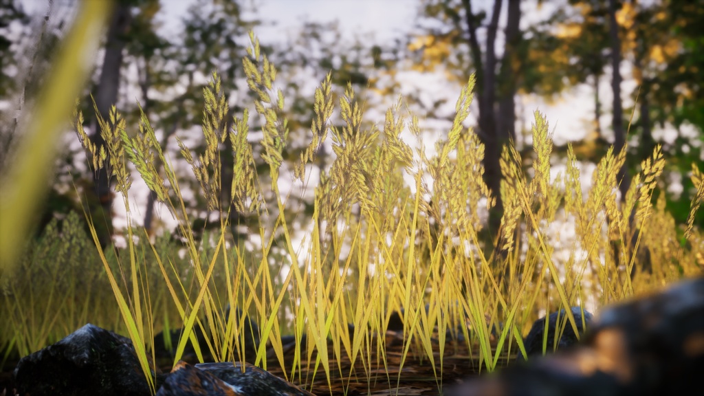 よみがえるベルギーの宝石、ブロムス・ブロモイデウス