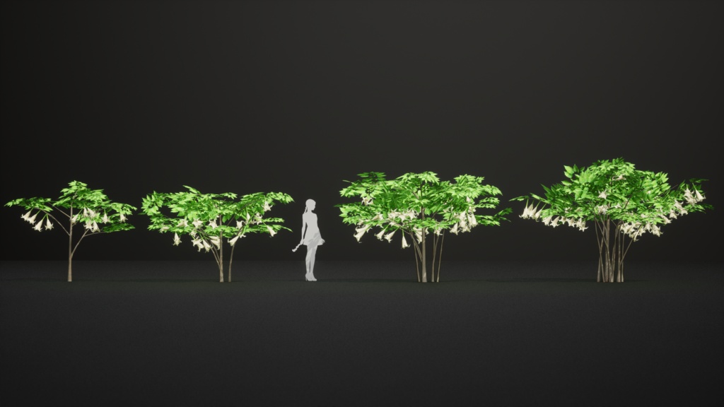 幻の天使のラッパ、ブルグマンシア・スアベオレンス