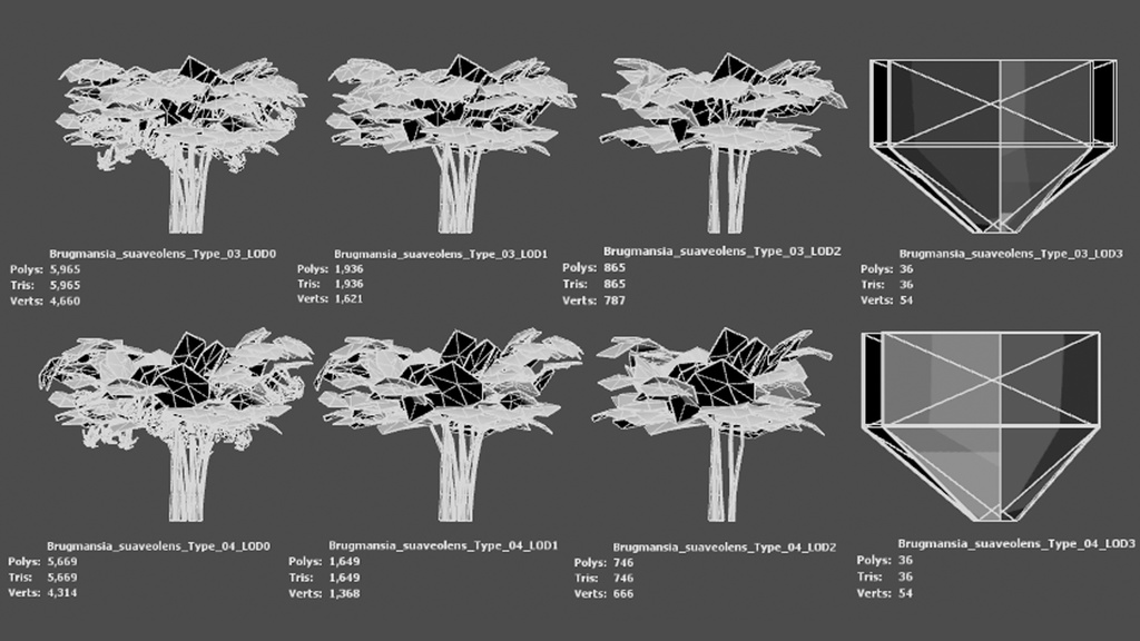 幻の天使のラッパ、ブルグマンシア・スアベオレンス