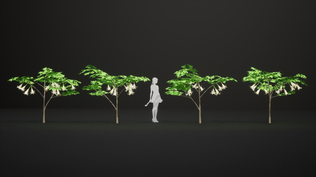 幻の天使のラッパ、ブルグマンシア・スアベオレンス