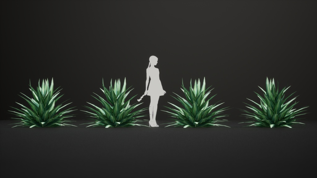 メキシコの幻の宝石、アガベ・ルリダ